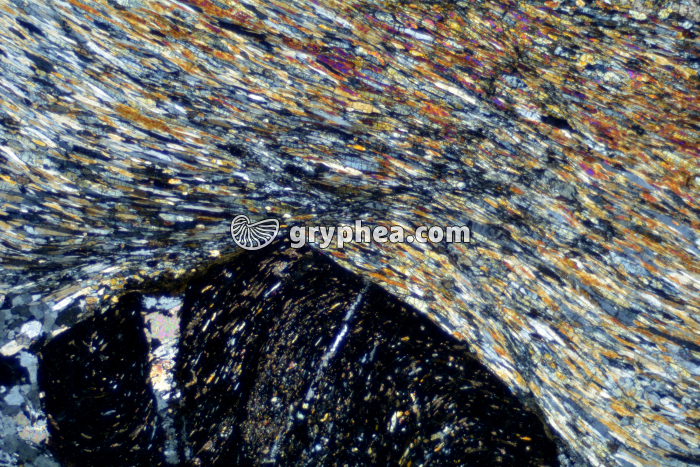 Schiste à grenats et glaucophane LPA x25 - gryphea.com